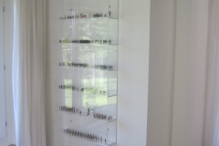 Wandvitrine_häny1
